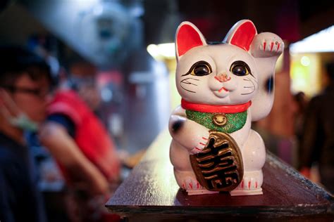 lucky chat vidéo.